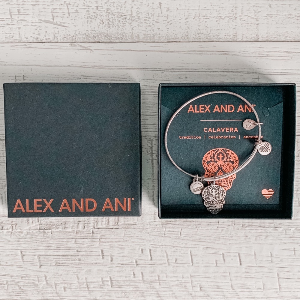 Alex & Ani Calavera Charm Rafaelian Silver Dia De Los Muertos Bracelet - Picture 4 of 8